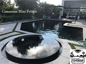 Camaroon Mini Pebble